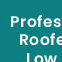 Roofing contractor in beckenham