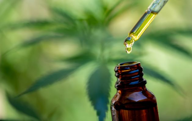 CBD Oil: A Medicine for Disease Prevention