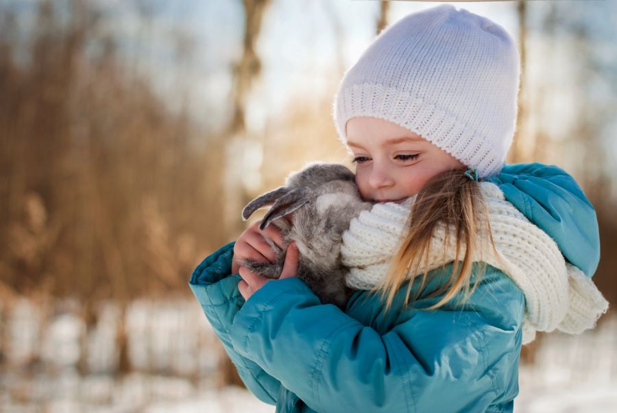 Rabbit Winter Care: 5 Ways To Keep Your Bunny Happy