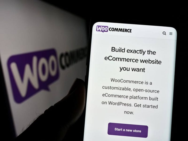 Pros & Cons Of WooCommerce And What 2024 Holds - In The News