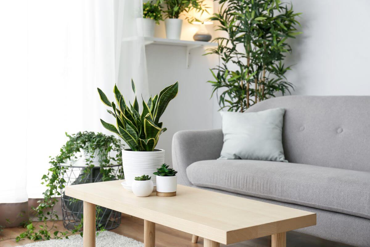 The Sofa Revolution: Inside Britain’s Living Room Design Obsession The Sofa Revolution: Inside Britain’s Living Room Design Obsession