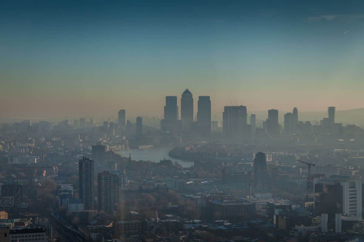 How air pollution is affecting wildlife and ecosystems